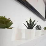 بيت ضيافة Lika 3*